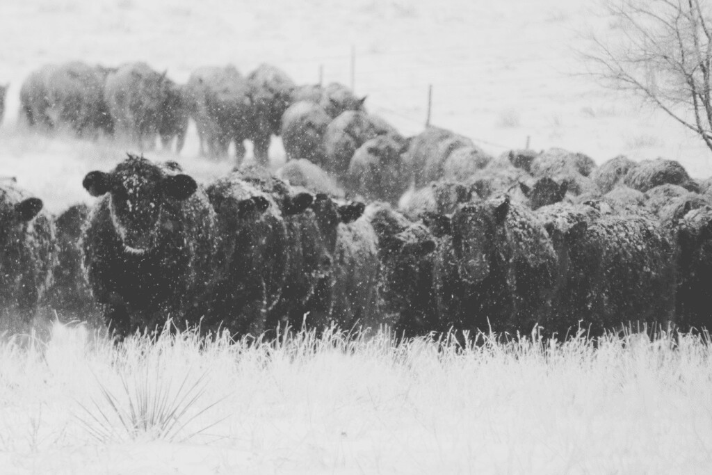 Ag Technology Advancements in 100 Years