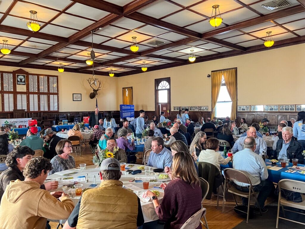 Customer Appreciation Events 2024