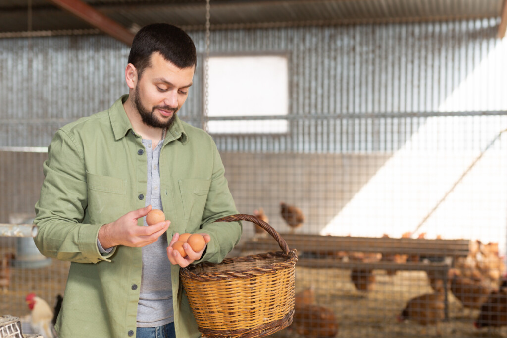 YBS Farm Loan Application Process